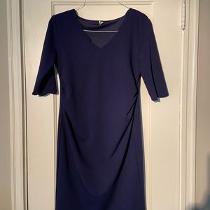Pink Blush Maternity Dress in Navy